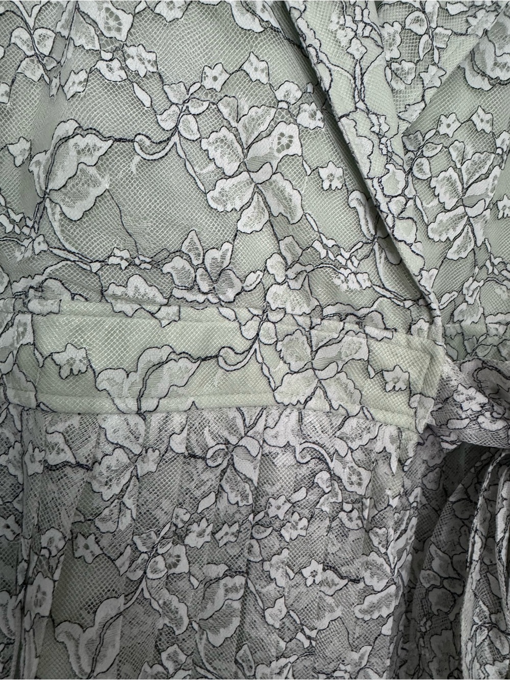 Delicate Lace mini dress in Pale Mint